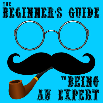 The Beginner's Guide To Being An Expert