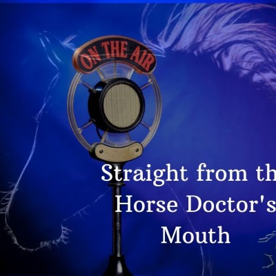 Straight from the Horse Doctor's Mouth