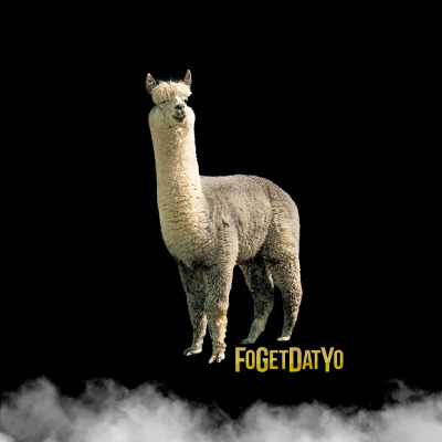 FGDY Podcast