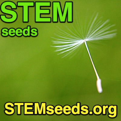 STEM Seeds Podcast (audio)