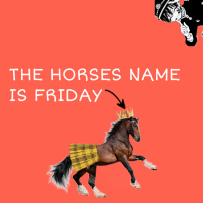 the horses name was friday (thnwf)