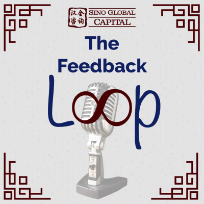 The Feedback Loop