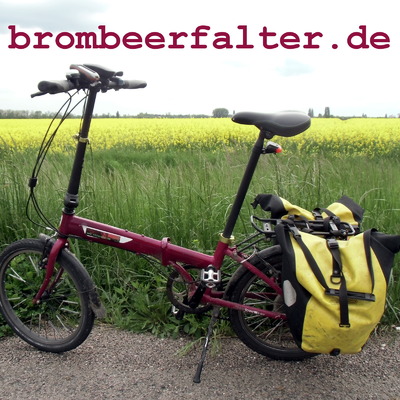 Brombeerfalter